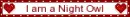 Blinkie - Night Owl