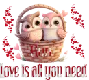 Valentine's Owls - Ron
