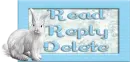 Read, Reply, Delete