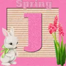 Spring Blocks Avatar -J