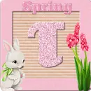 Spring Block Avatar - T