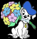 Dalmation