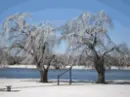 winter-fall