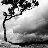 clouds