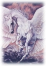 White Horse