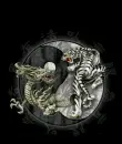Dragon and tiger yin yang