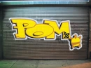 pom pom