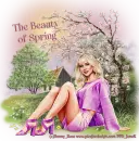 The beauty of Spring