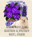 A Sweet Day - Jane