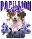 Papillion 