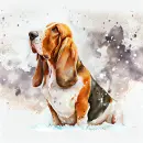 Basett Hound Looking up Background
