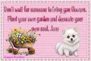 Don't wait.....Jane