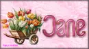 Name Tag - Jane