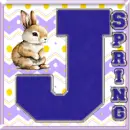 Spring Avatar - J