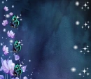 Starry Background