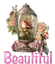 Pretty Flowers 