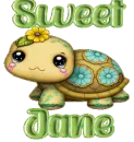Cute turtle - Jane