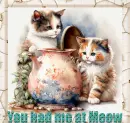 Kitties