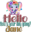 Cute Elephant - Hello - jane