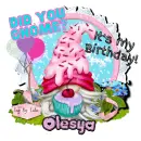 Happy Birthday Olesya - Gnome