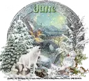 Wolf in winter - Jane