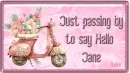Siggie Tag, Just passing by - Jane