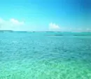 The Ocean Background