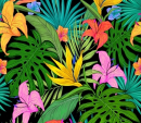 Tropical Background