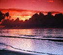 Sunset Background