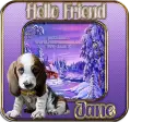 Hello Friend - Jane