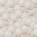 Seashell Background