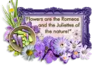 Flower are.......