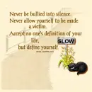 Never Be Bullied - Road - Fence - Cat