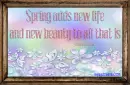 Spring adds new life....