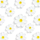 Daisy Background