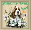 Waiting for Spring - Jessi