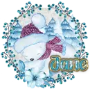 Polar Bear - Jane