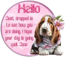 Dog Hello - Jane