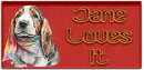 Basset Hound - Jane Lovews It