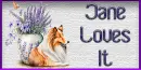 Collie with flowers - JLI