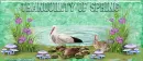 Tranquility of Spring