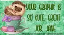 Hedgehog in a cup - Jane