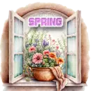 Spring Window Avatar