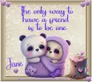The only way to have a Friend - Jane