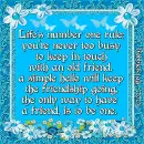 Friendship - by Robbie