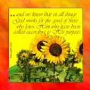 God Works For All - According To His Purpose