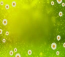 Spring/Nature Background