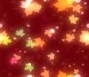 Autumn Leaves Background