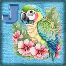 Parrot Avatar  