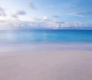 The Beach Background